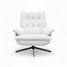 Modern Comfort Lounge Chair